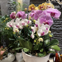 фото из отзыва ID 2743501