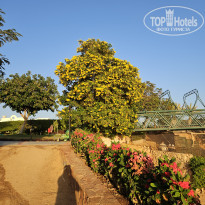 фото из отзыва ID 2743506