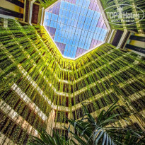 фото из отзыва ID 2743509