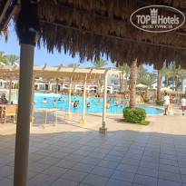 фото из отзыва ID 2743519