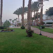 фото из отзыва ID 2743519