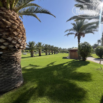 фото из отзыва ID 2743530