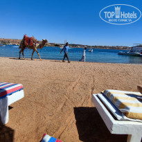 фото из отзыва ID 2743520