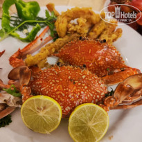 фото из отзыва ID 2743520