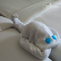 фото из отзыва ID 2743538