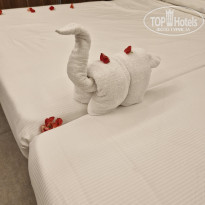 фото из отзыва ID 2743538