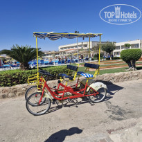 фото из отзыва ID 2743538