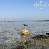 фото из отзыва ID 2743549