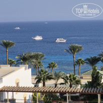 фото из отзыва ID 2743563