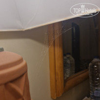 фото из отзыва ID 2742817