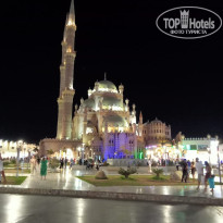 фото из отзыва ID 2743598