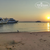 фото из отзыва ID 2743609