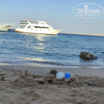 фото из отзыва ID 2743609