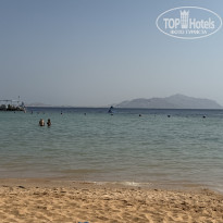 фото из отзыва ID 2742919