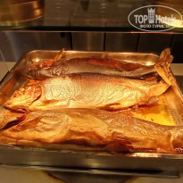 фото из отзыва ID 2743647