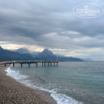 фото из отзыва ID 2743652