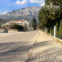 фото из отзыва ID 2743652