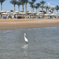 фото из отзыва ID 2743665