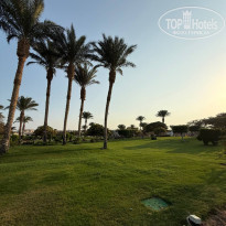 фото из отзыва ID 2743629