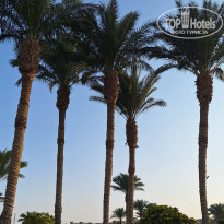 фото из отзыва ID 2743629