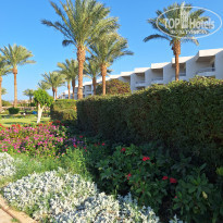 фото из отзыва ID 2743629