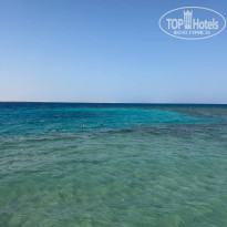 фото из отзыва ID 2743629