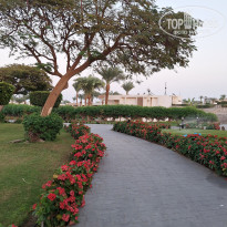 фото из отзыва ID 2743629