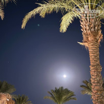 фото из отзыва ID 2743629