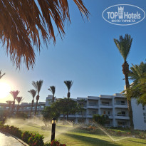 фото из отзыва ID 2743629