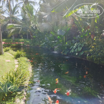 фото из отзыва ID 2743678