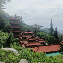 фото из отзыва ID 2743678