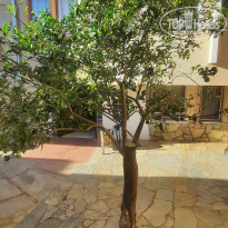 фото из отзыва ID 2743676