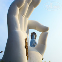 фото из отзыва ID 2743688