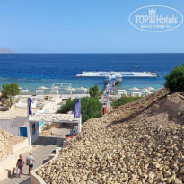 фото из отзыва ID 2743687