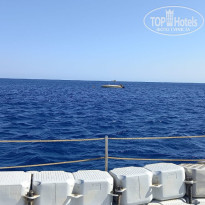 фото из отзыва ID 2743687