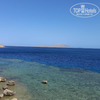 фото из отзыва ID 2743687