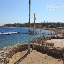 фото из отзыва ID 2743687