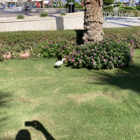 фото из отзыва ID 2743581