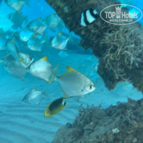 фото из отзыва ID 2743581