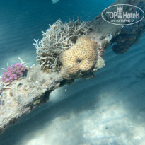 фото из отзыва ID 2743581