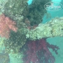 фото из отзыва ID 2743581