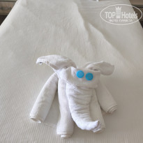 фото из отзыва ID 2743581