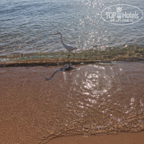 фото из отзыва ID 2743581