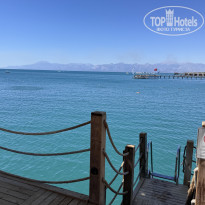 фото из отзыва ID 2743706