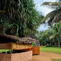 фото из отзыва ID 2743755