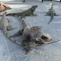 фото из отзыва ID 2743769