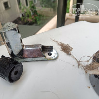 фото из отзыва ID 2743780