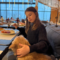 фото из отзыва ID 2743161