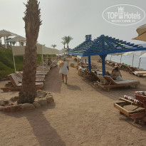 фото из отзыва ID 2743810