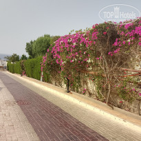 фото из отзыва ID 2743810